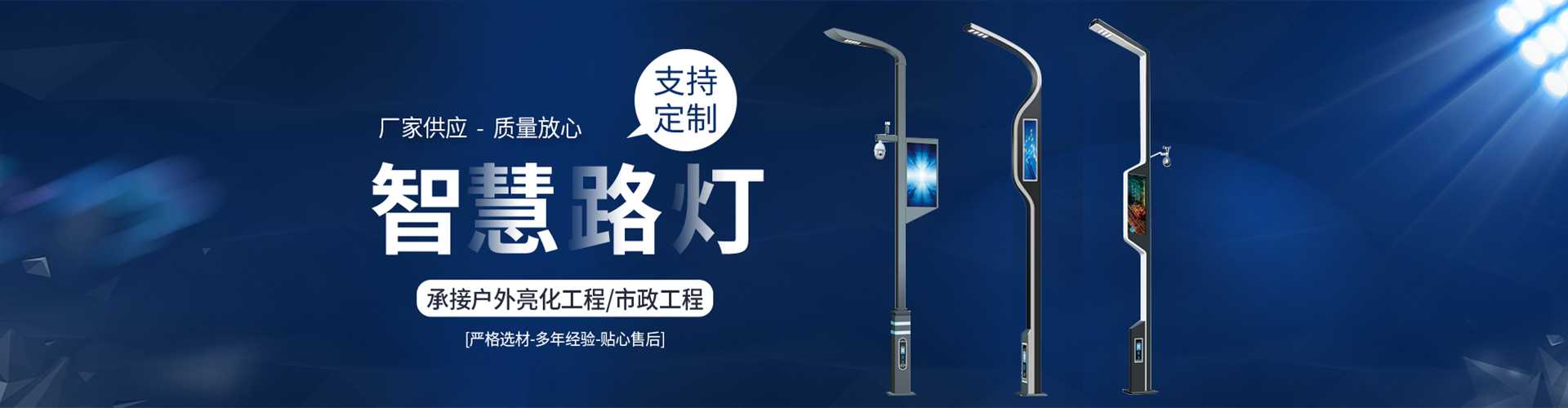 丽水市太阳能路灯定制厂家