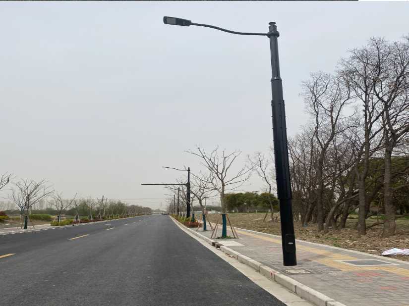 丽水市上海综合杆 太阳能路灯工程